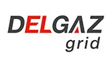 Delgaz Grid